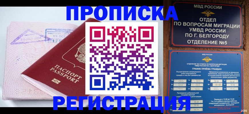 временная регистрация гарантия в Твери